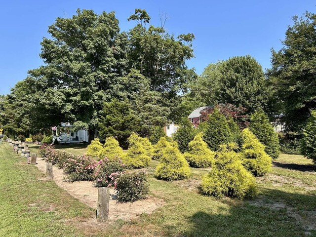 35 Bayshore Rd, Green Creek, NJ 08219 - view of grassy yard