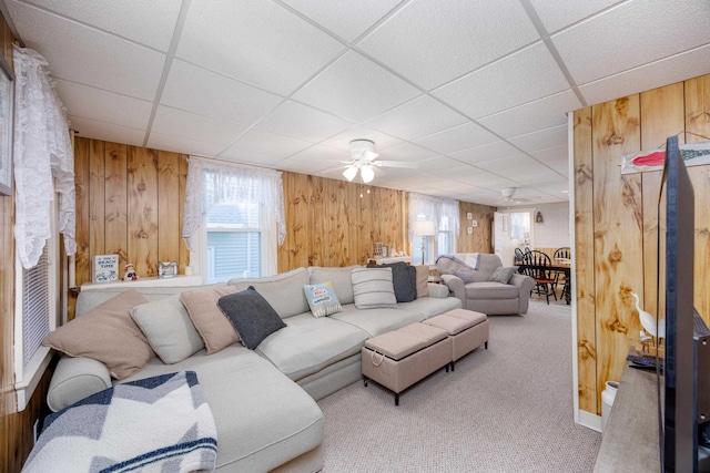 carpeted living area featuring a drop ceiling, a ceiling fan, and wooden walls