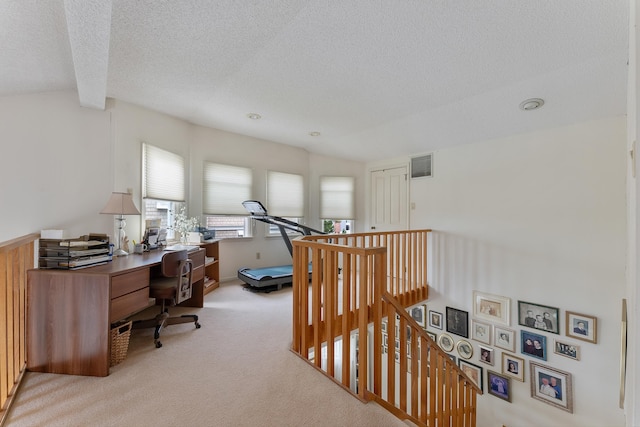53 E 25th St, Avalon, NJ 08202 - office space with light carpet, a textured ceiling, and lofted ceiling