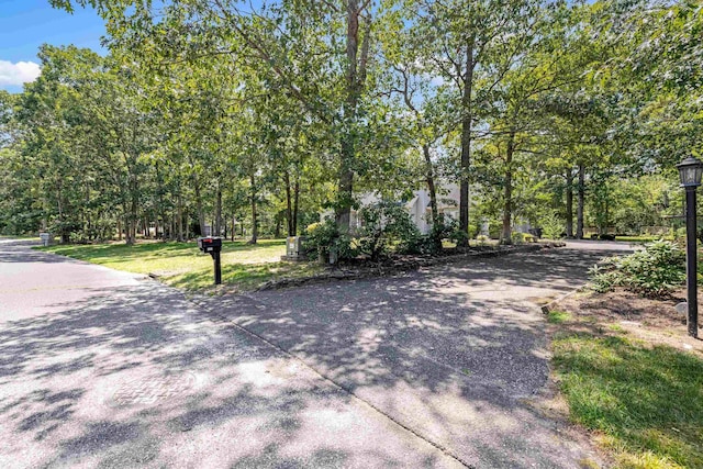 176 S Ravenwood Dr, Clermont, NJ 08210 - photo 39