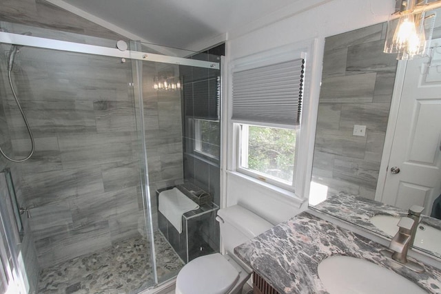 bathroom with vanity, a shower with shower door, and toilet