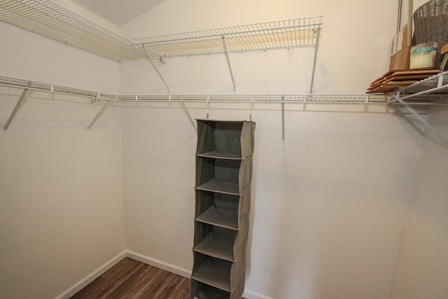 spacious closet with dark hardwood / wood-style floors