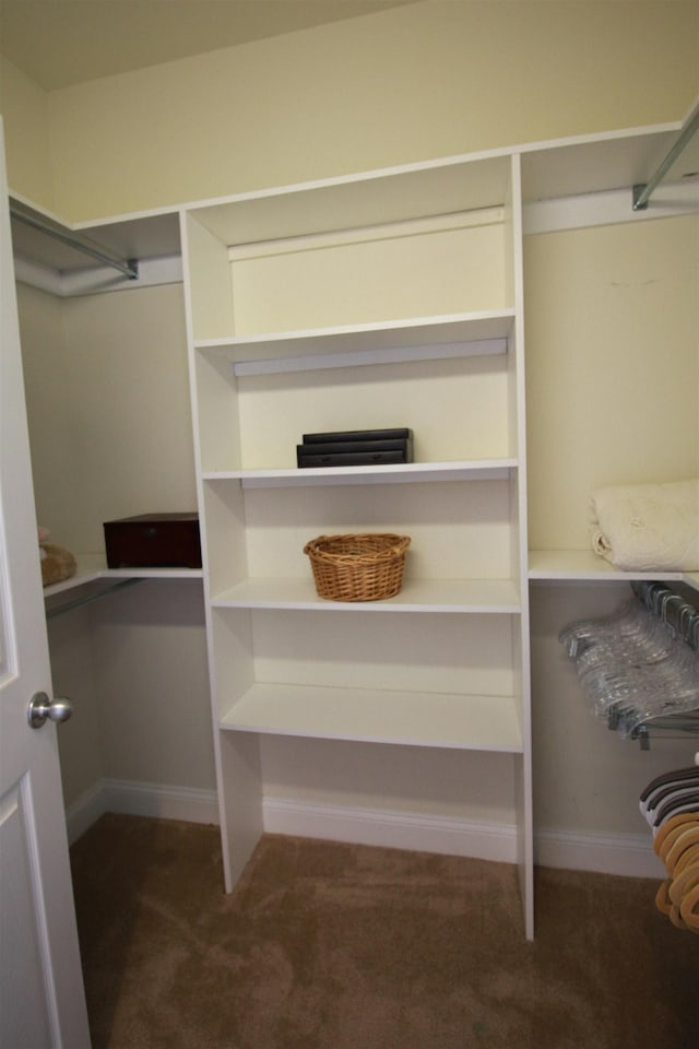 spacious closet featuring dark colored carpet