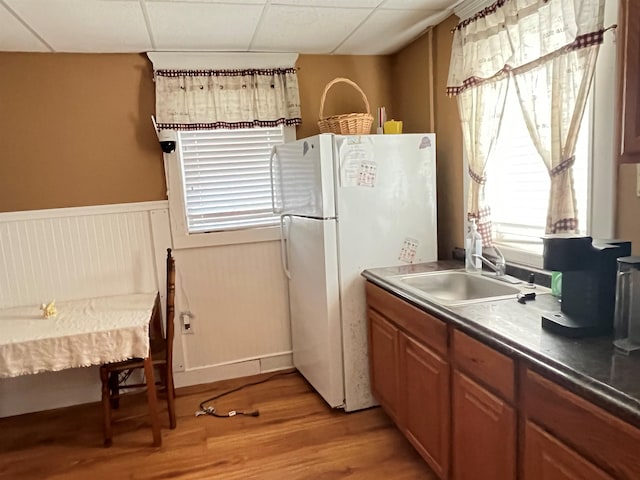 kitchen with a sink, a drop ceiling, freestanding refrigerator, light wood-style floors, and wainscoting