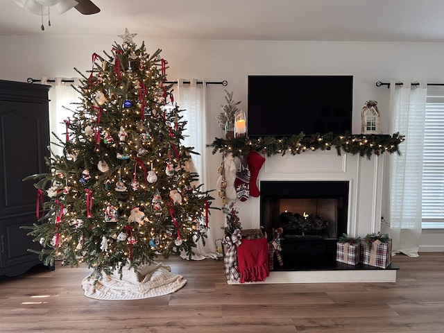 living room with ceiling fan and wood-type flooring