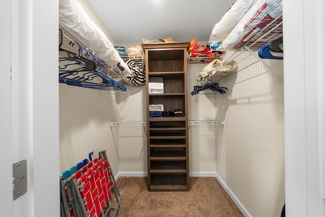 spacious closet featuring carpet flooring