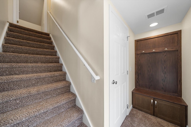 stairs with carpet floors