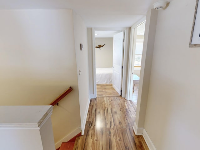 111 Leaming Ave, West Cape May, NJ 08204 - photo 28
