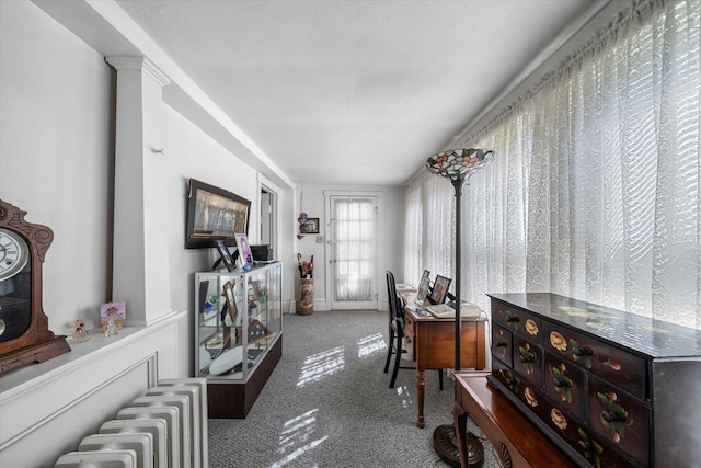 2090 Rte 50, Tuckahoe, NJ 08270 - carpeted home office with radiator heating unit