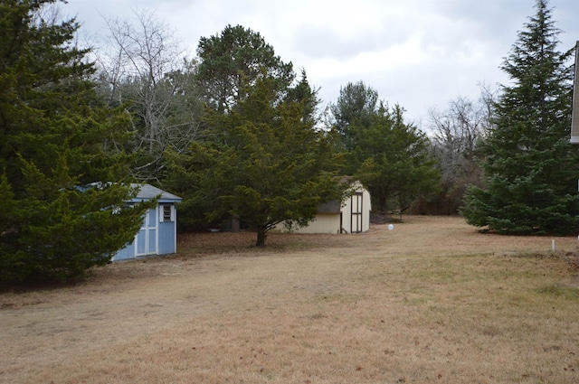 view of yard featuring a shed