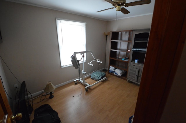 workout room featuring ceiling fan, ornamental molding, and hardwood / wood-style floors