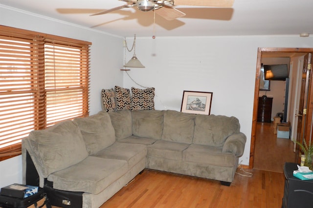 living room featuring crown molding and light hardwood / wood-style flooring