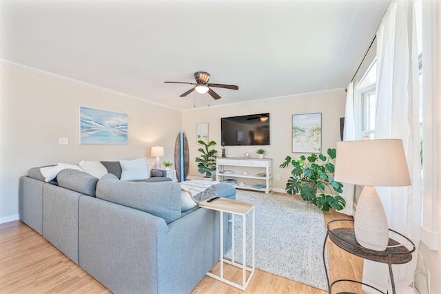 6 W Congress St, West Cape May, NJ 08204 - photo 3