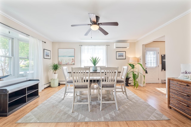 6 W Congress St, West Cape May, NJ 08204 - photo 13
