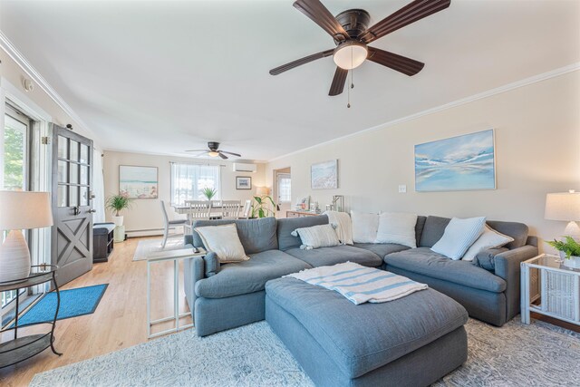 6 W Congress St, West Cape May, NJ 08204 - photo 10