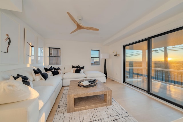 living room with ceiling fan and light hardwood / wood-style floors