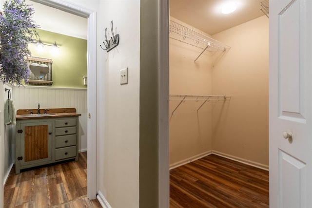 walk in closet featuring sink and dark hardwood / wood-style flooring