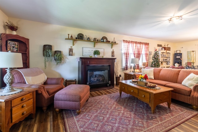 living room with dark hardwood / wood-style floors