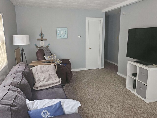 119 Hagen Rd, Clermont, NJ 08210 - living room featuring carpet flooring and baseboards