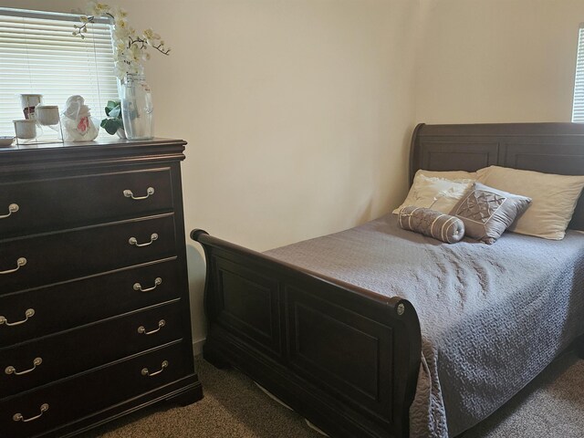 119 Hagen Rd, Clermont, NJ 08210 - view of carpeted bedroom