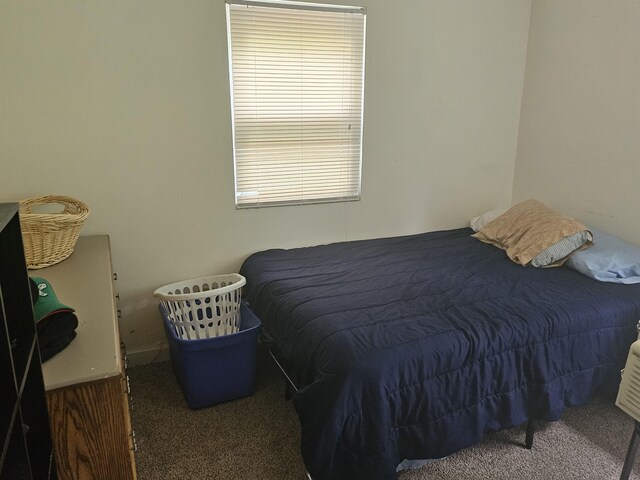 119 Hagen Rd, Clermont, NJ 08210 - bedroom with carpet floors
