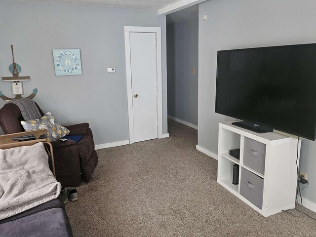 119 Hagen Rd, Clermont, NJ 08210 - sitting room featuring carpet and baseboards