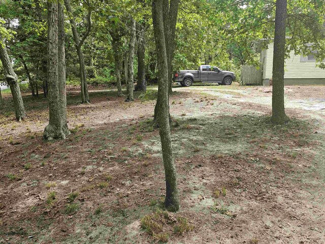 119 Hagen Rd, Clermont, NJ 08210 - view of yard