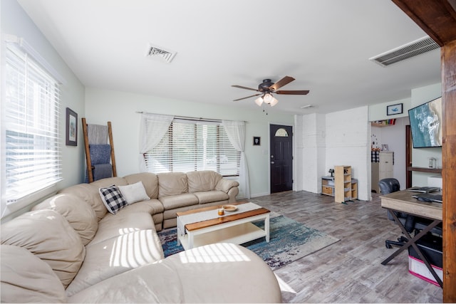 living room with a wealth of natural light, ceiling fan, and light hardwood / wood-style flooring