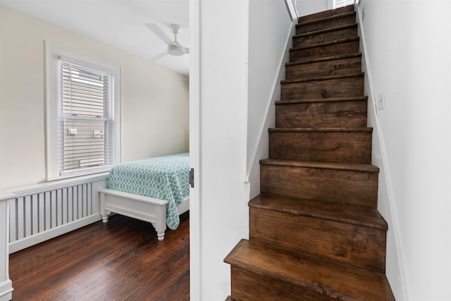 stairs with radiator, wood finished floors, and ceiling fan
