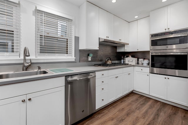 kitchen with a sink, light countertops, under cabinet range hood, and stainless steel appliances