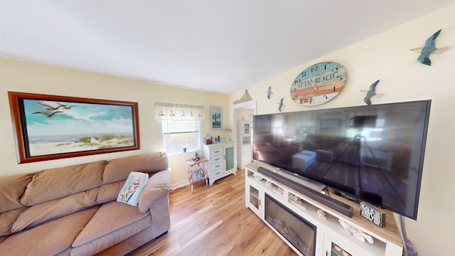 living room featuring light wood-type flooring