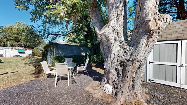 view of yard with a patio area and a storage shed