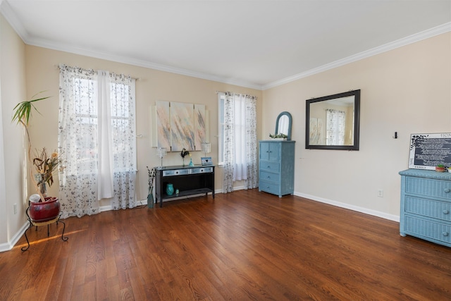 interior space with ornamental molding, a wealth of natural light, baseboards, and wood finished floors