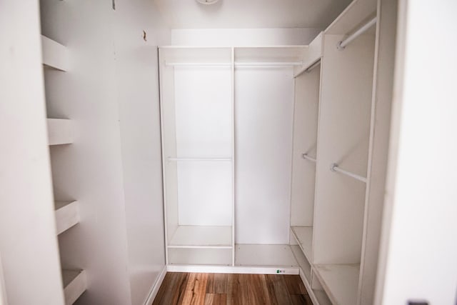 walk in closet featuring hardwood / wood-style floors