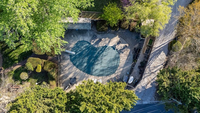 bird's eye view