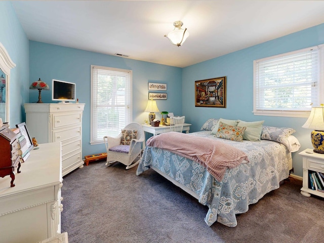 63 Cape Woods Rd, North Cape May, NJ 08204 - view of carpeted bedroom