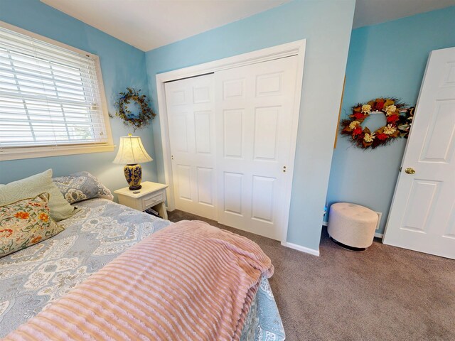 63 Cape Woods Rd, North Cape May, NJ 08204 - bedroom with carpet flooring and a closet
