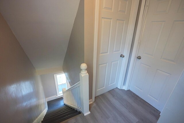 509 Madison Ave, Woodbine, NJ 08270 - photo 15
