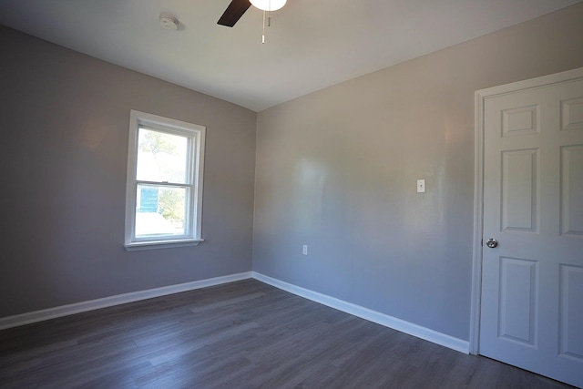 509 Madison Ave, Woodbine, NJ 08270 - photo 13