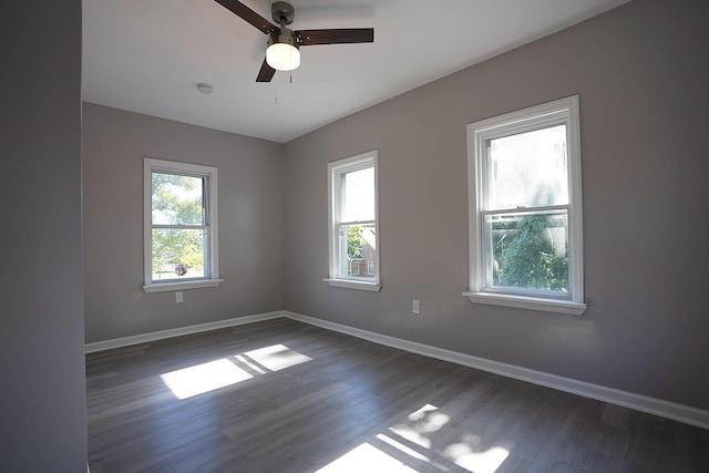 509 Madison Ave, Woodbine, NJ 08270 - photo 4