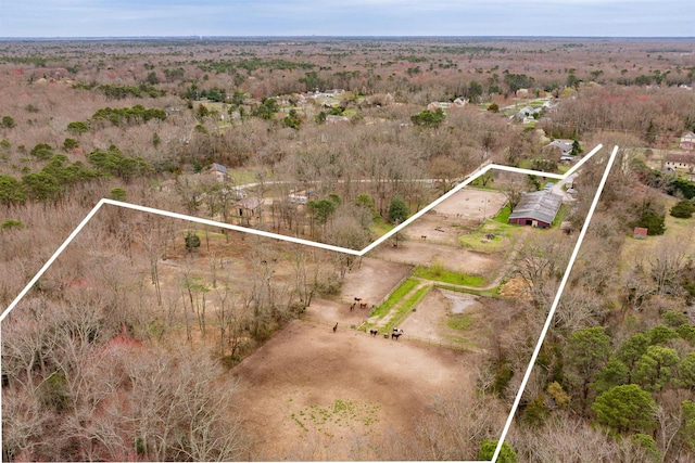 716 Dias Creek Rd, Cape May Court House, NJ 08210 - overview of rural landscape with property boundaries highlighted