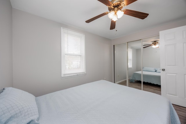 bedroom featuring ceiling fan, a closet, and dark hardwood / wood-style floors