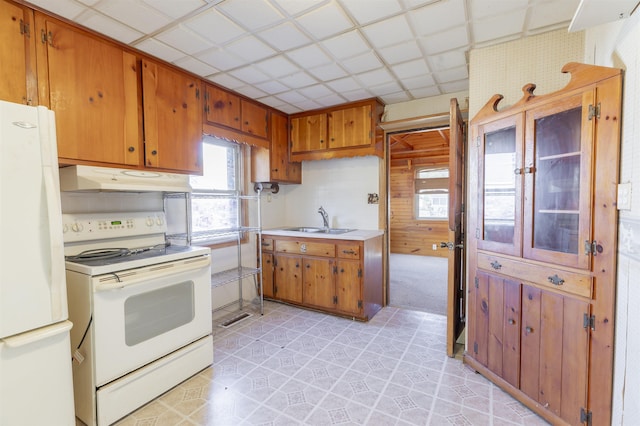 kitchen with wood walls, sink, and white appliances