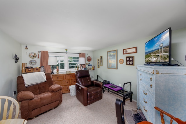 living room featuring light colored carpet