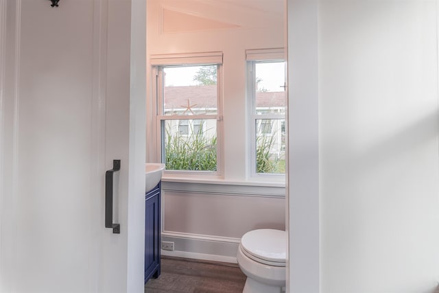 bathroom with toilet, a healthy amount of sunlight, wood finished floors, and vanity