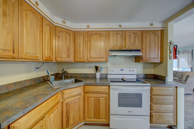 kitchen with sink and electric stove