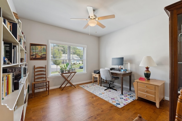 office featuring ceiling fan and dark hardwood / wood-style flooring