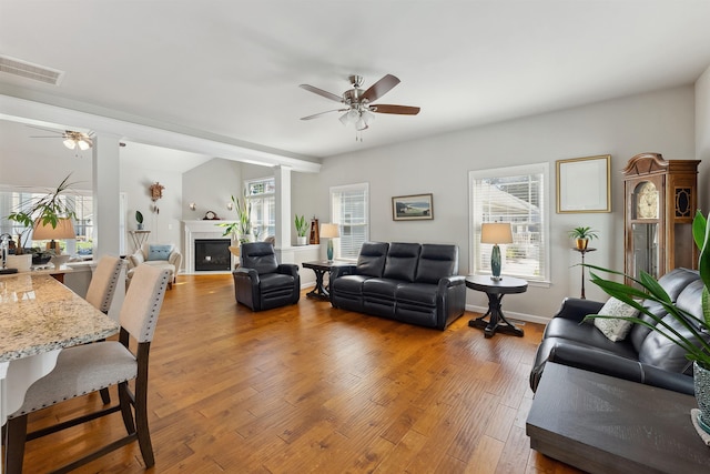 living room with ceiling fan and wood-type flooring