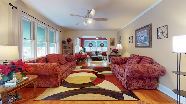 living room featuring ceiling fan, light hardwood / wood-style flooring, and ornamental molding