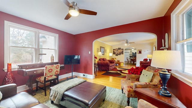 living room featuring a wealth of natural light, ceiling fan, and light hardwood / wood-style floors